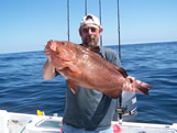 Fat Red Grouper Oak Island NC